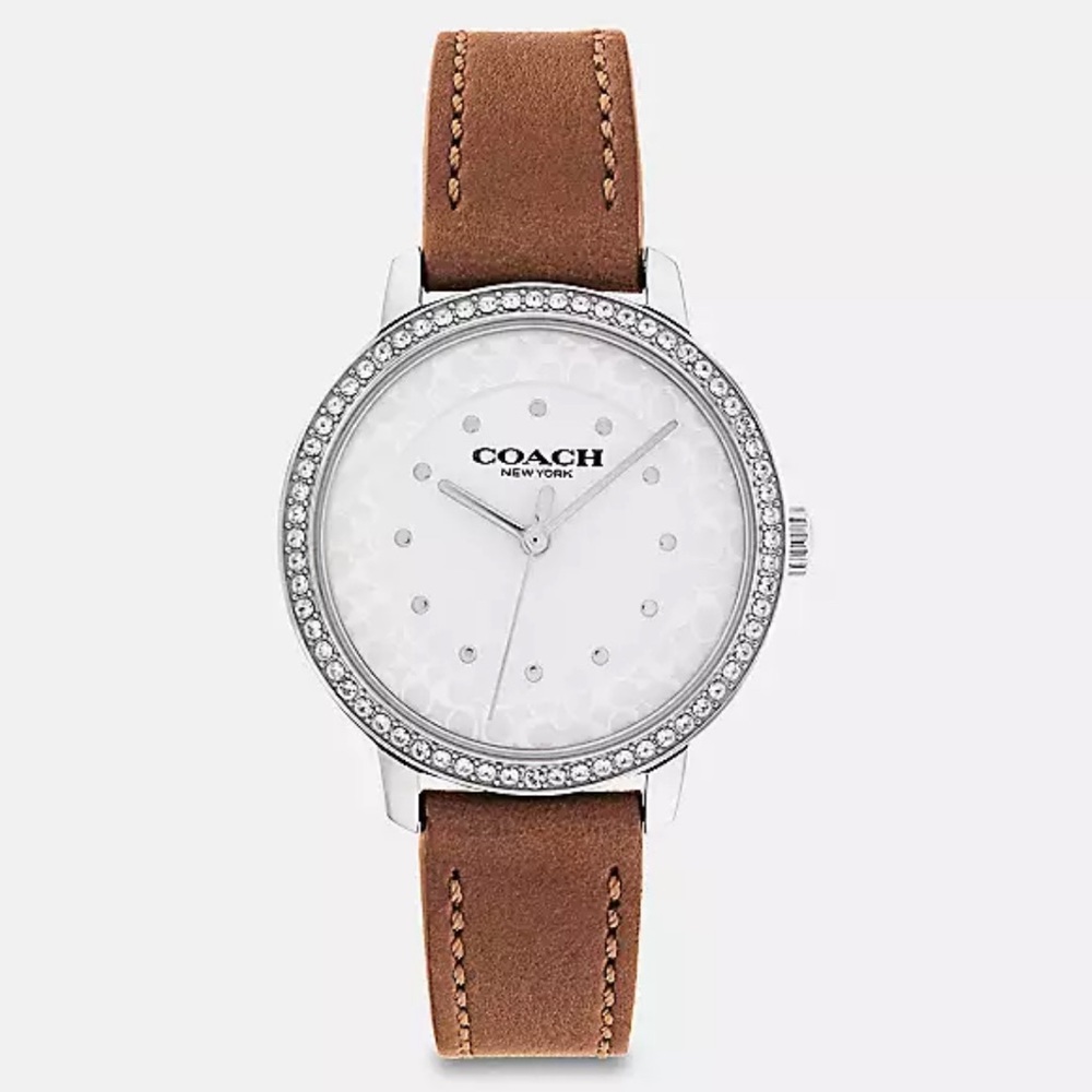 COACH Rayden Watch